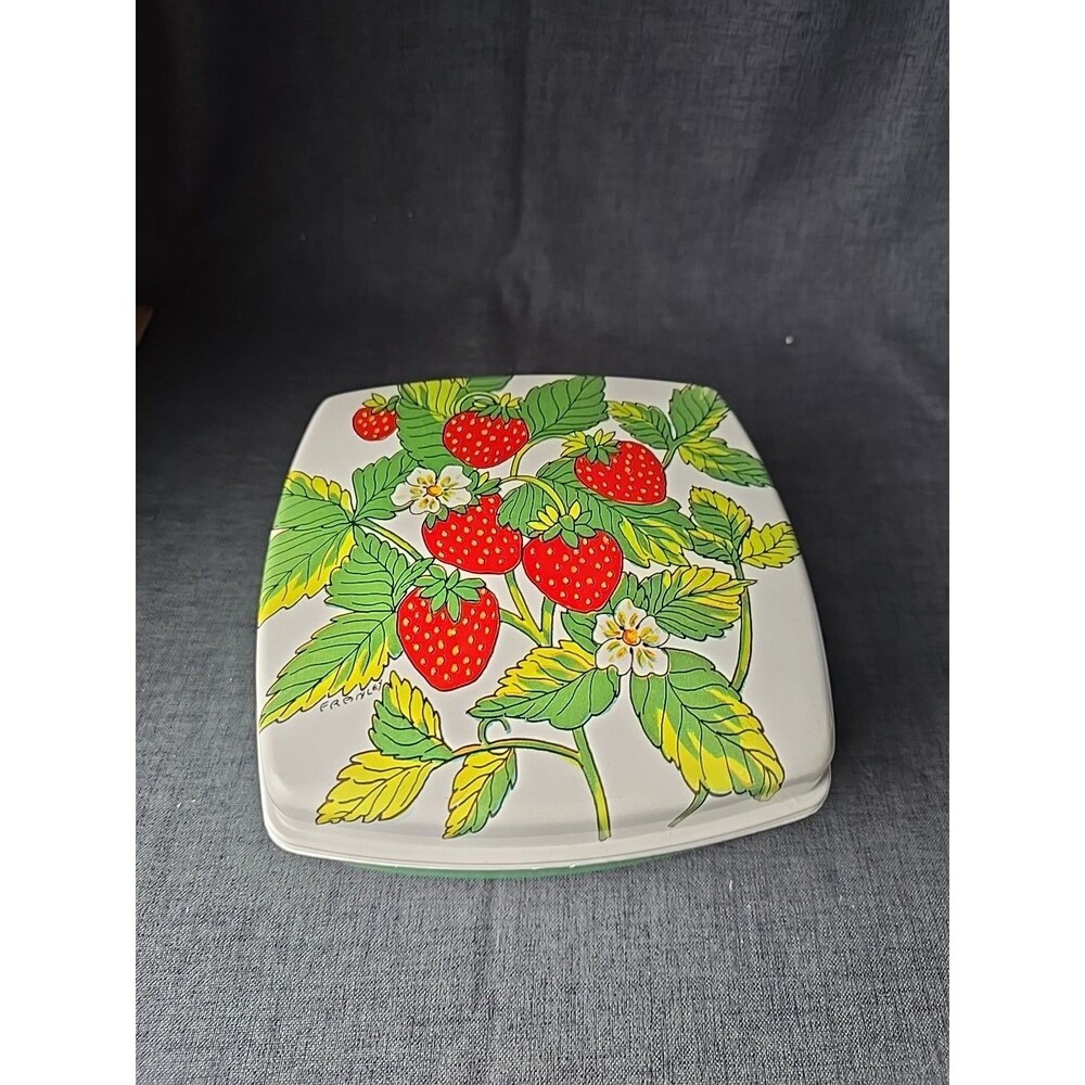 70s Strawberry Fields FRANLEY Kitchenware Plastic Container Cottagecore Grandma
